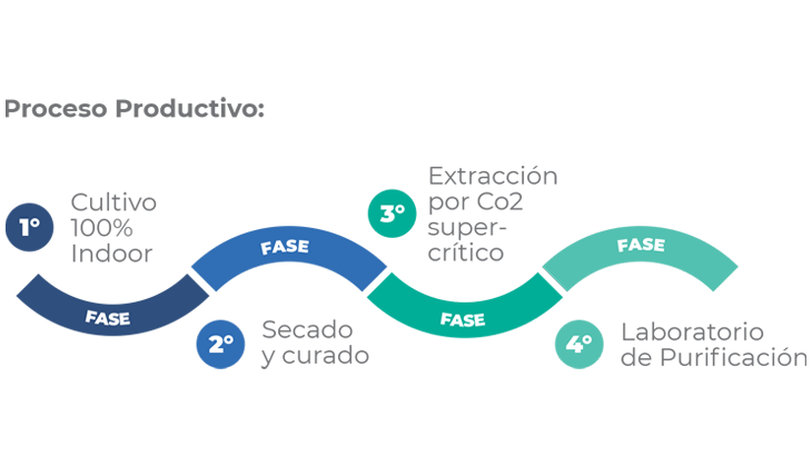 Proceso Productivo